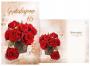 koln eshop